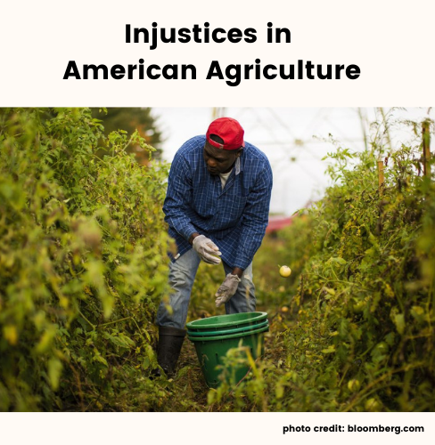 Injustices in American Agriculture