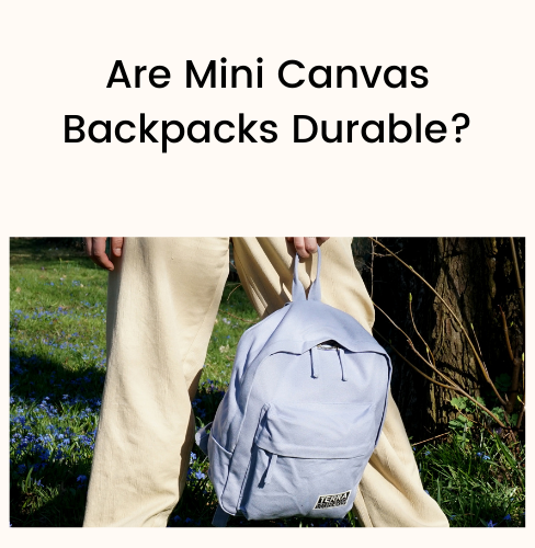 Mini 2025 canvas backpack