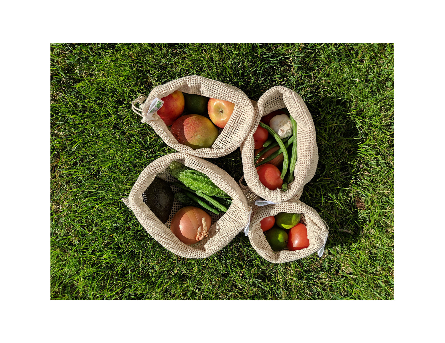 Guide to Living a Low Waste Life
