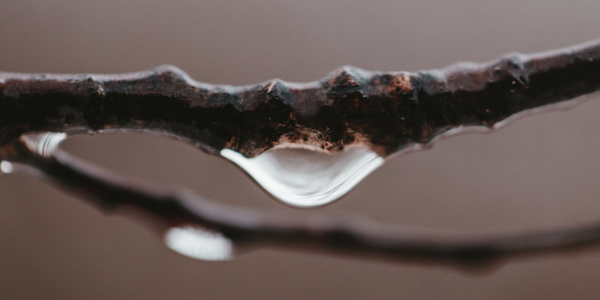 Rainwater is Unsafe to Drink on Earth