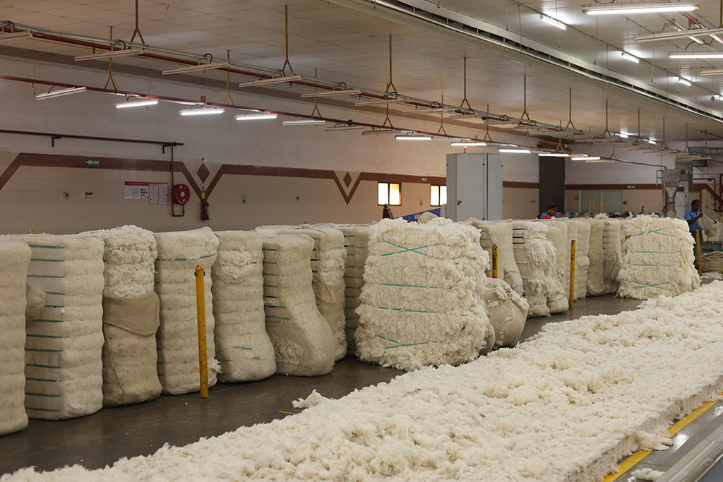 cotton ready to be made fibers