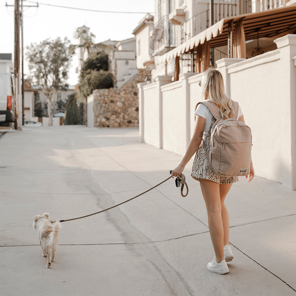 backpack for everyday use