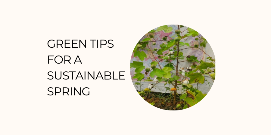 More Than Cleaning- Green Tips For A Sustainable Spring | Terra Thread
