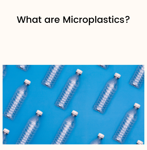 What are Microplastics?