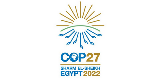 What is COP27? And who attends it? | Terra Thread