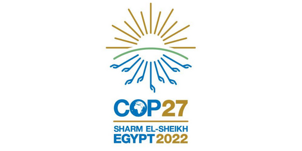 What is COP27