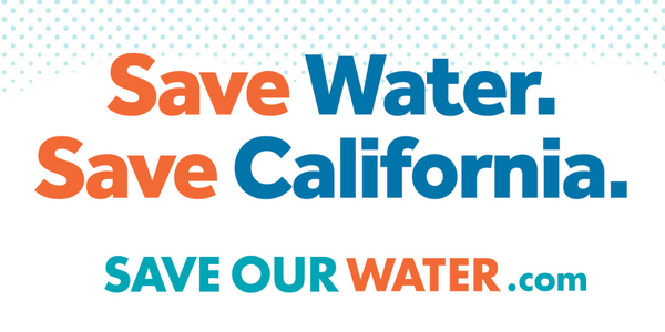 California reduced its water use