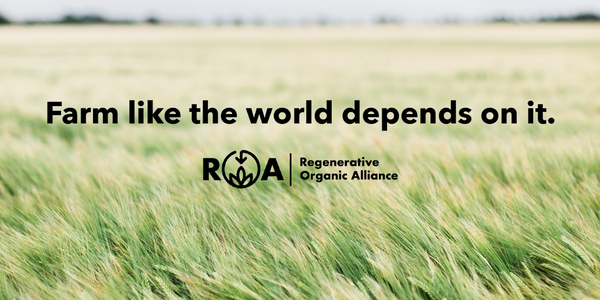 Companies that offer Regenerative Organic Certified products