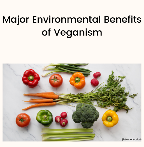Major Environmental Benefits of Veganism