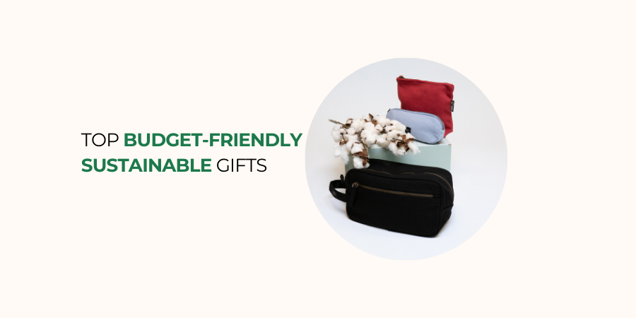 Top Budget-Friendly Sustainable Gifts