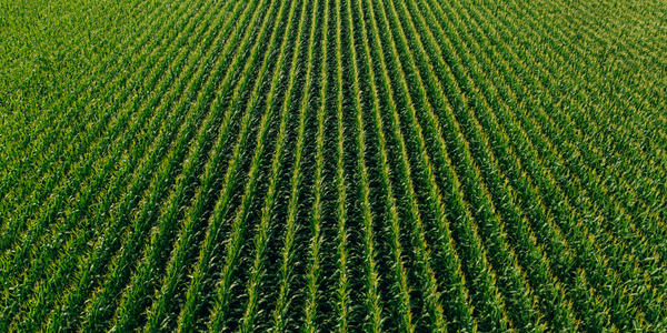 USDA Invests $2.2 Million in Risk Management Education