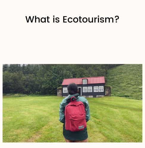 What is Ecotourism
