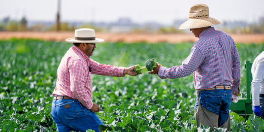 California to Support Farmers