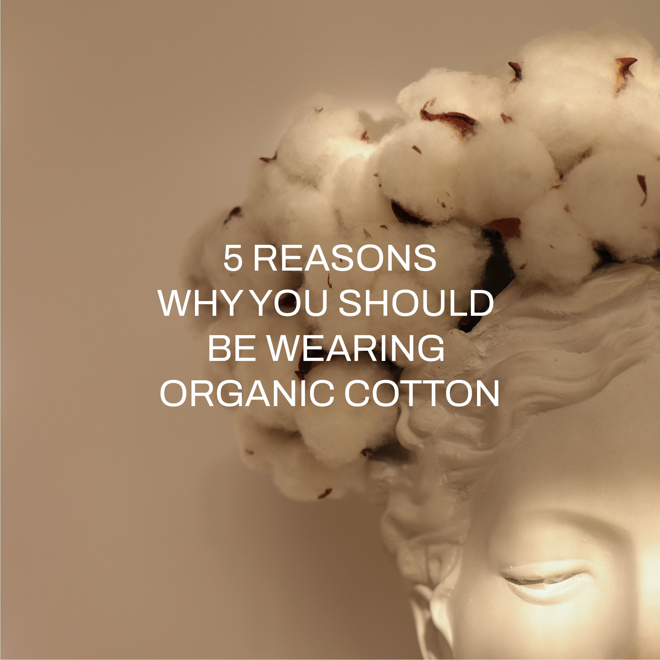 5 Reasons Why You Should be Wearing Organic Cotton