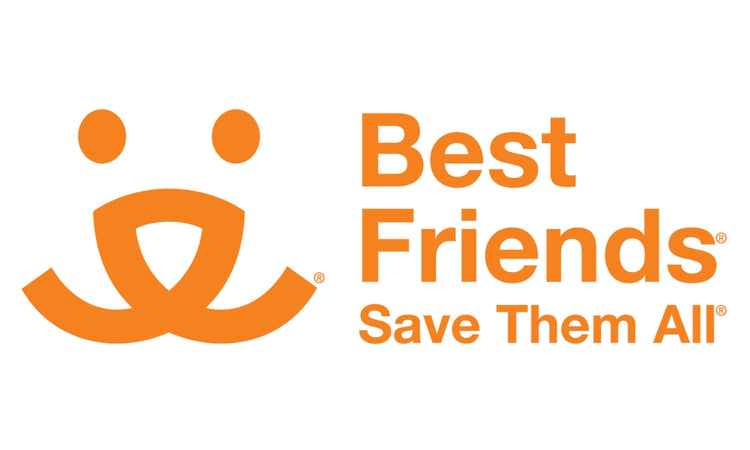 Best Friends logo with orange text and icon on a white background