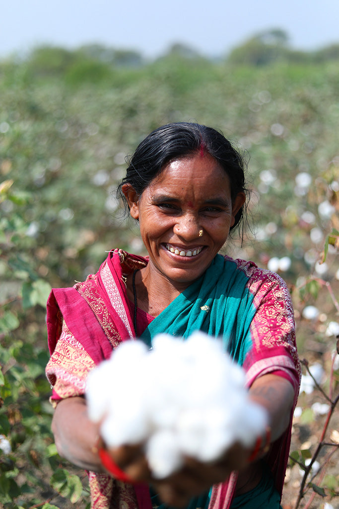 organic cotton farm in India