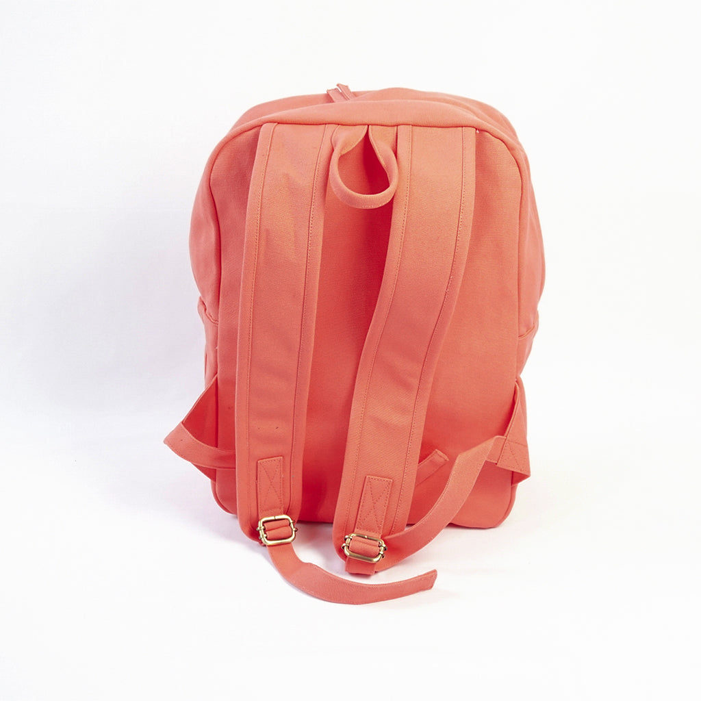 womens pink backpack